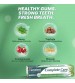 Himalaya Toothpaste Complete Care Gum Expert 100ml